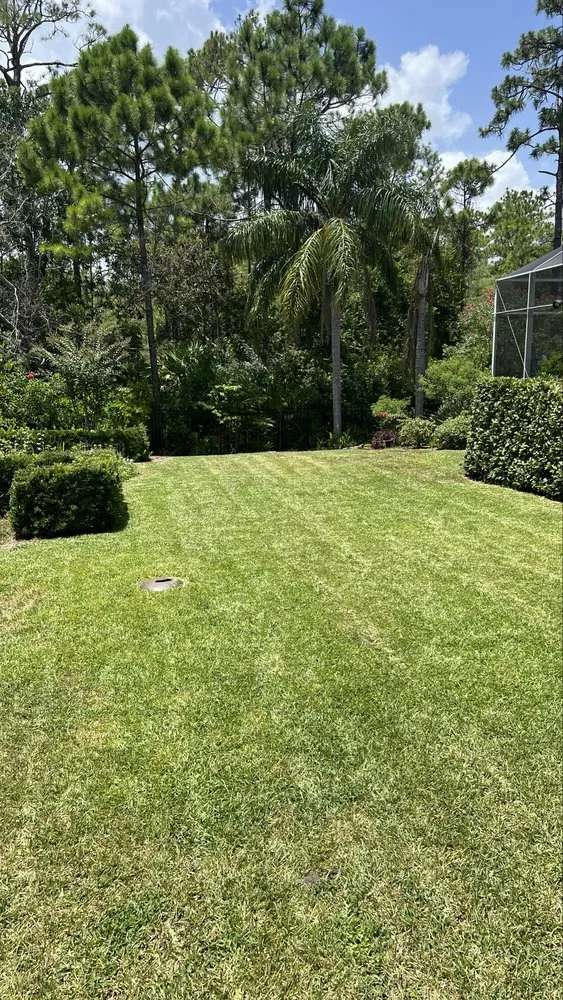 Expert landscape design for beautiful yards across Palm Coast, FL - Lenc Lawn Care