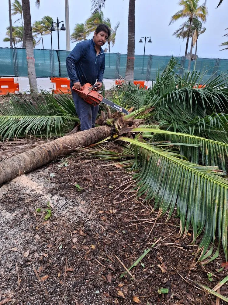 Expert residential landscaping experts serving Miami, FL - Lenc Maintence