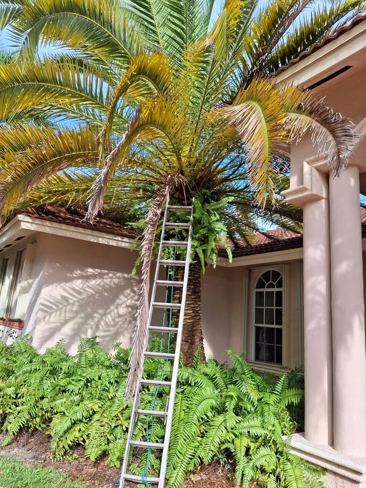 Trusted residential landscaping in Miami, FL - Lenc Maintence