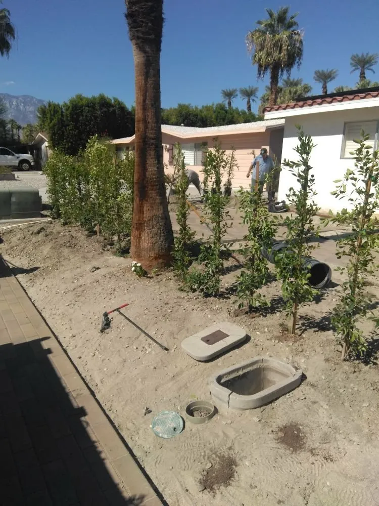 Custom lawn mowing service for year-round maintenance in Desert Hot Springs, CA by Lendechy Landscape Service