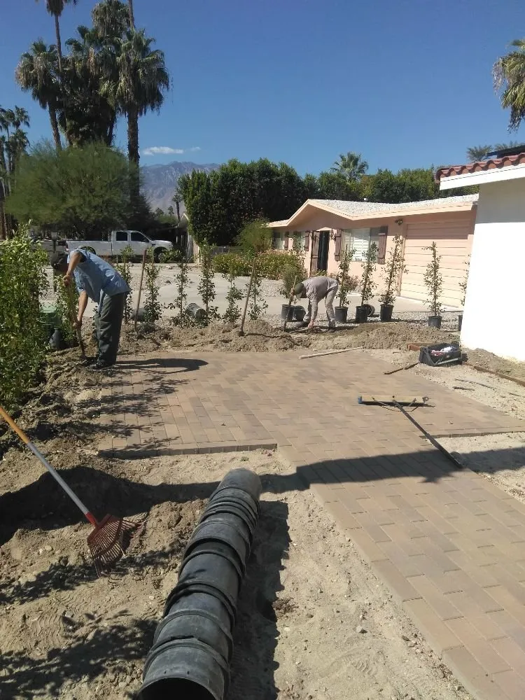 Local lawn care service in Desert Hot Springs, CA by Lendechy Landscape Service