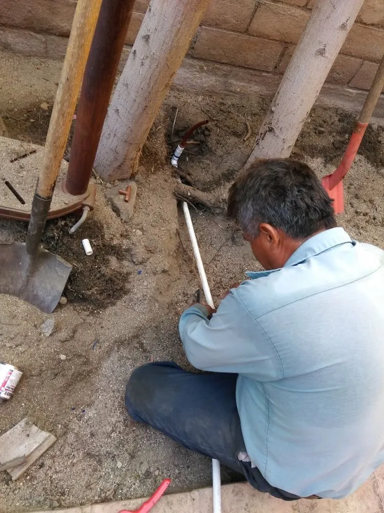 Local residential landscaping in Desert Hot Springs, CA by Lendechy Landscape Service