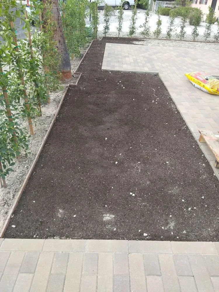 Professional landscaping services with custom design across Desert Hot Springs, CA - Lendechy Landscape Service