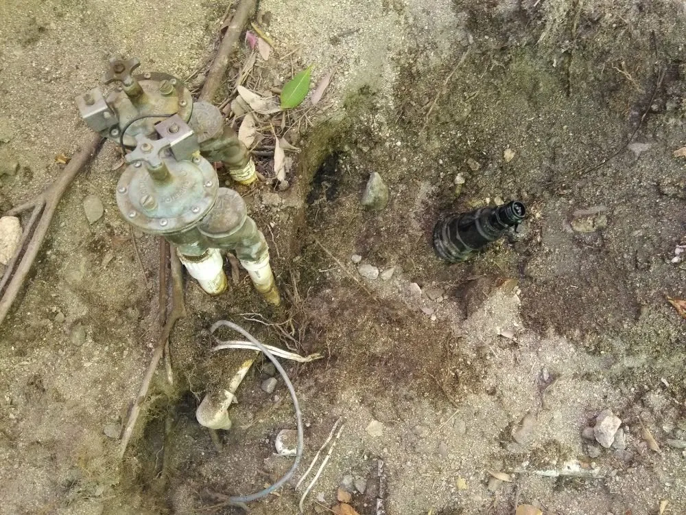 Professional outdoor landscaping in Desert Hot Springs, CA - Lendechy Landscape Service