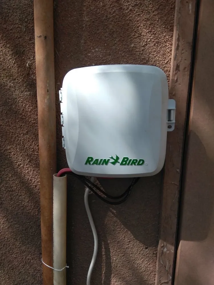 Professional residential landscaping with custom design in Desert Hot Springs, CA by Lendechy Landscape Service