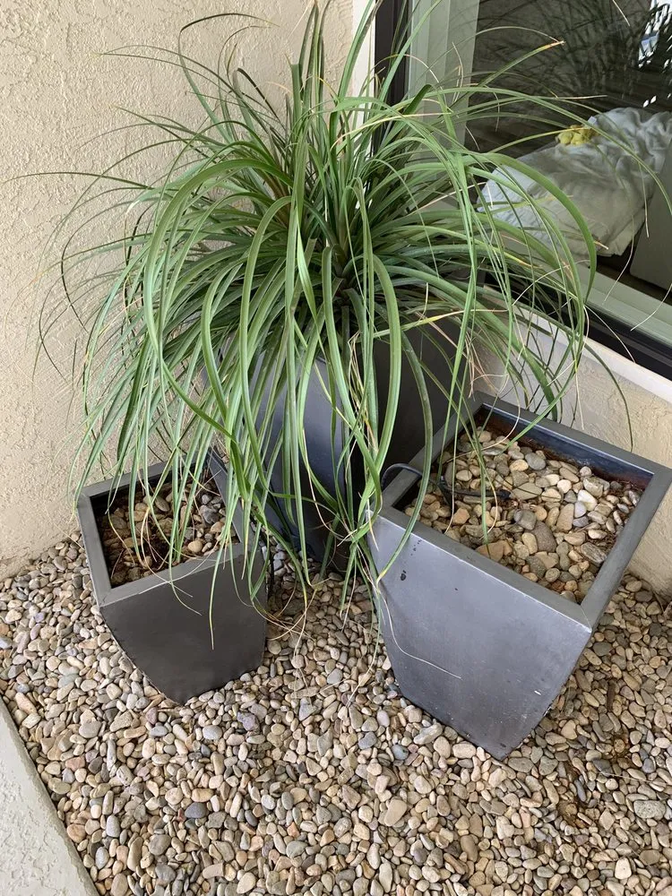 Affordable yard maintenance in Desert Hot Springs, CA - Lendechy Landscape Service