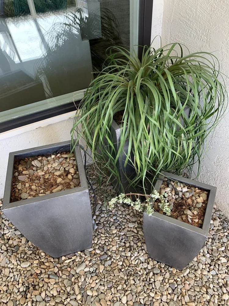 Top-rated lawn care service for homes across Desert Hot Springs, CA - Lendechy Landscape Service