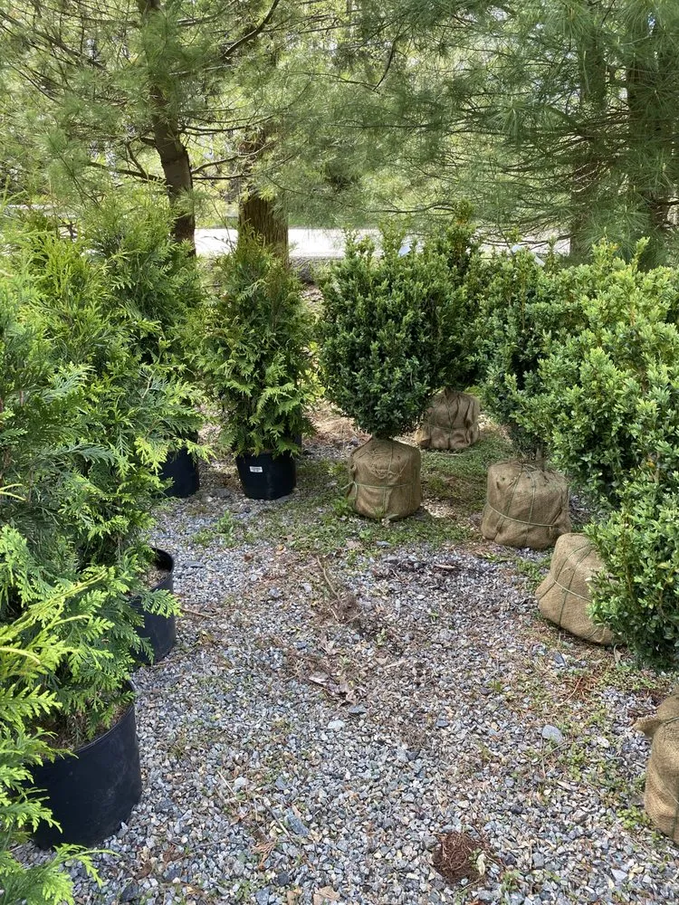 Expert yard maintenance for residential properties across Madison, NJ - Lendechy Landscaping & Construction