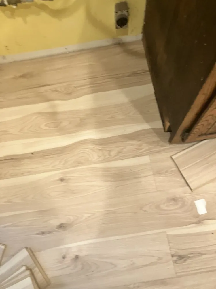 Professional yard cleanup service for homes in Richton Park, IL by Lenere Construction