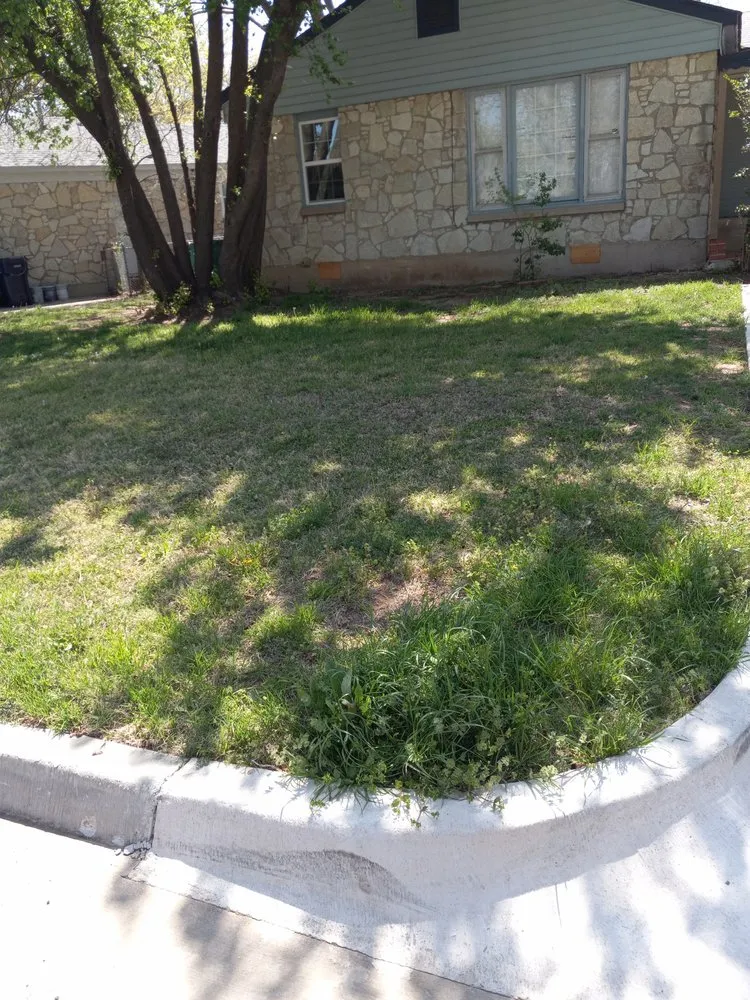 Custom landscaping services for year-round maintenance in Oklahoma City, OK by Lenjan Handyman