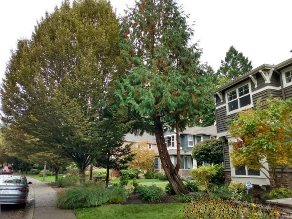 Expert lawn care service in Granite Falls, WA - Lenker's Services