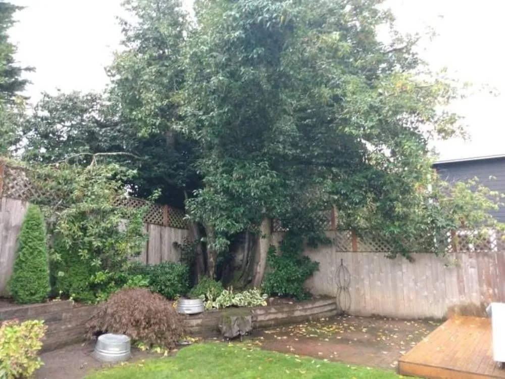 Local garden landscaping in Granite Falls, WA by Lenker's Services