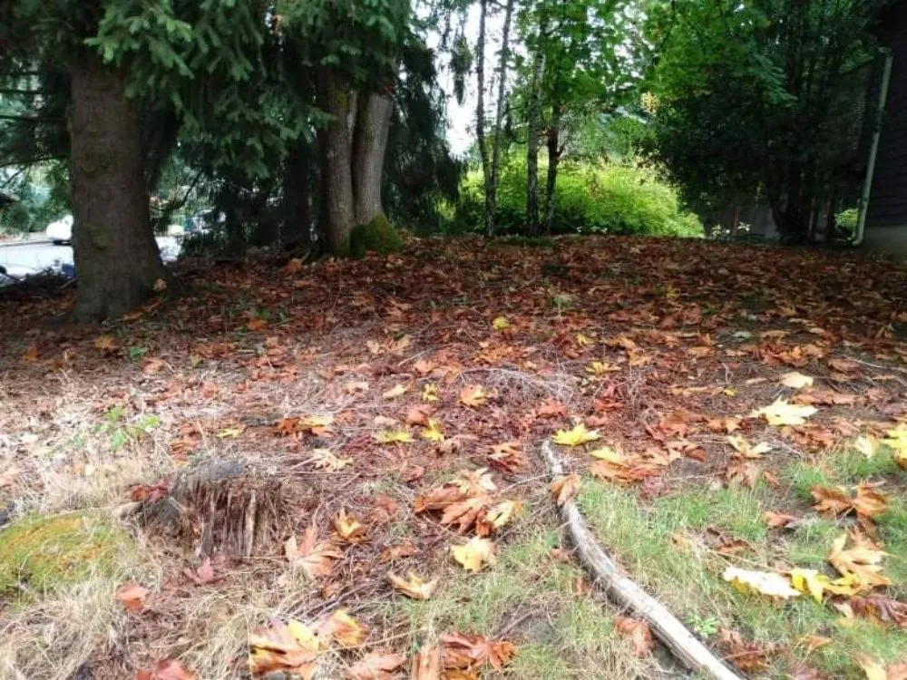 Top-rated lawn care service for homes across Granite Falls, WA - Lenker's Services