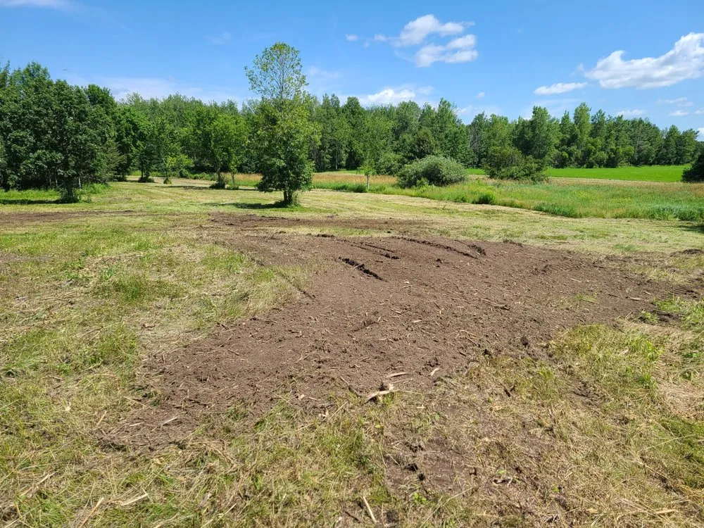 Reliable yard cleanup service for year-round maintenance in St. Cloud, MN by Lenneman