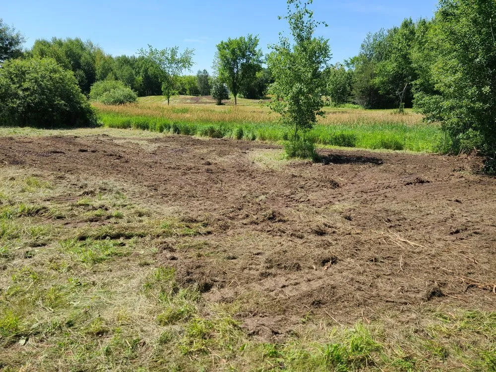 Professional lawn mowing service near you in St. Cloud, MN by Lenneman