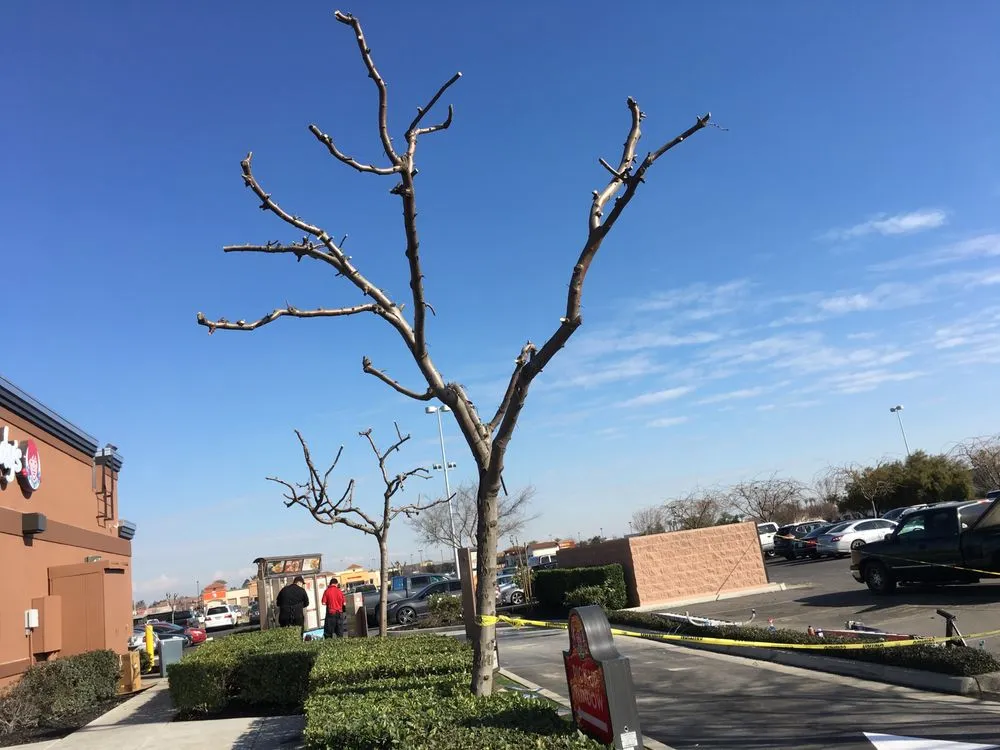 Trusted residential landscaping in Hanford, CA by Lennox Landscaping