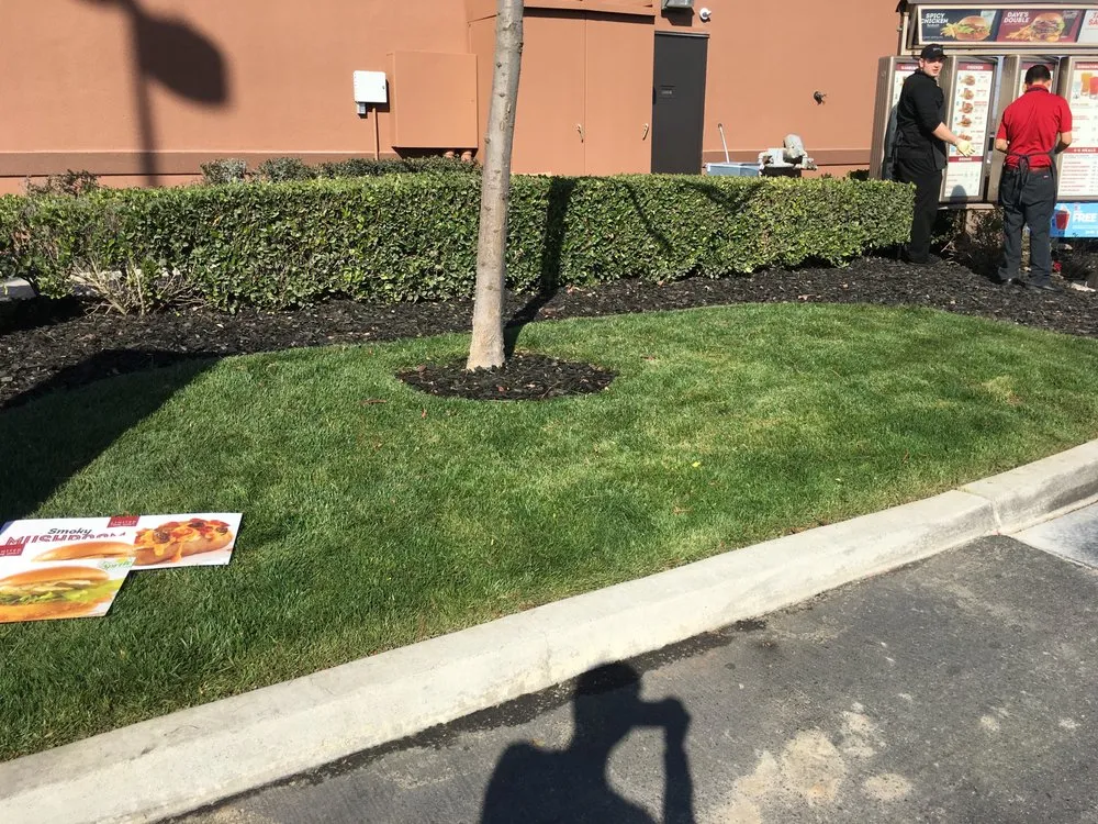 Affordable outdoor landscaping in Hanford, CA by Lennox Landscaping