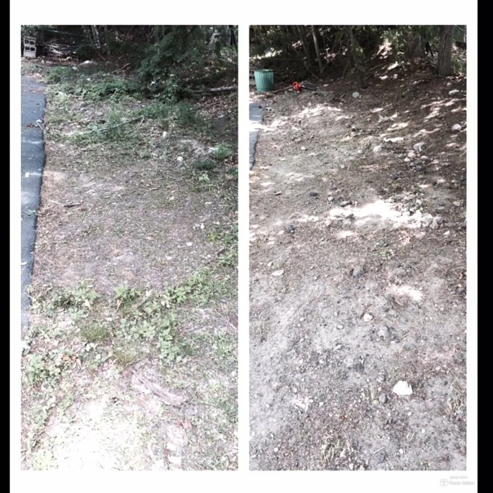 Professional landscape installation in Norwood, MA by Lennox Property Maintenance