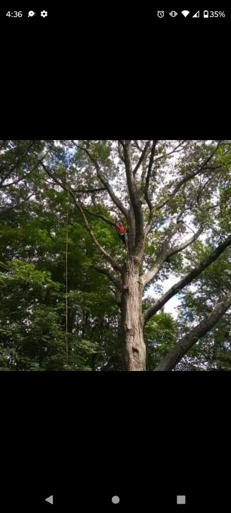 Affordable yard cleanup service with custom design across Massillon, OH - Lennox Tree and Landscaping