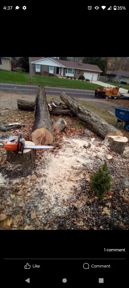 Reliable yard maintenance in Massillon, OH by Lennox Tree and Landscaping