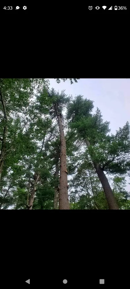 Expert outdoor landscaping in Massillon, OH - Lennox Tree and Landscaping