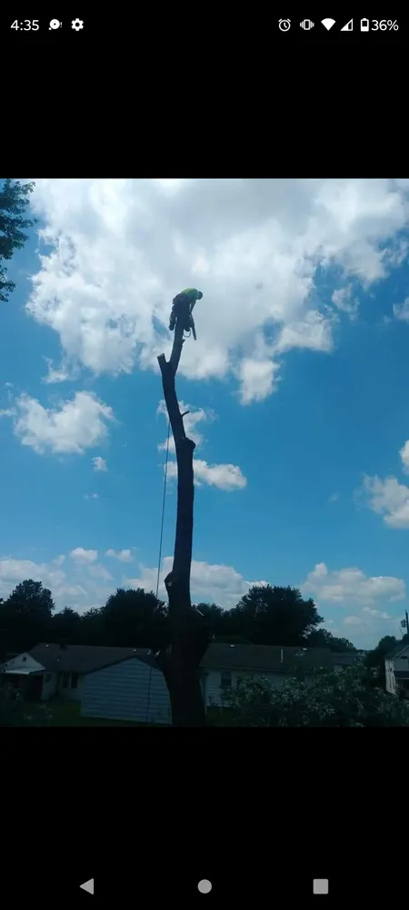 Top-rated landscaping services in Massillon, OH by Lennox Tree and Landscaping
