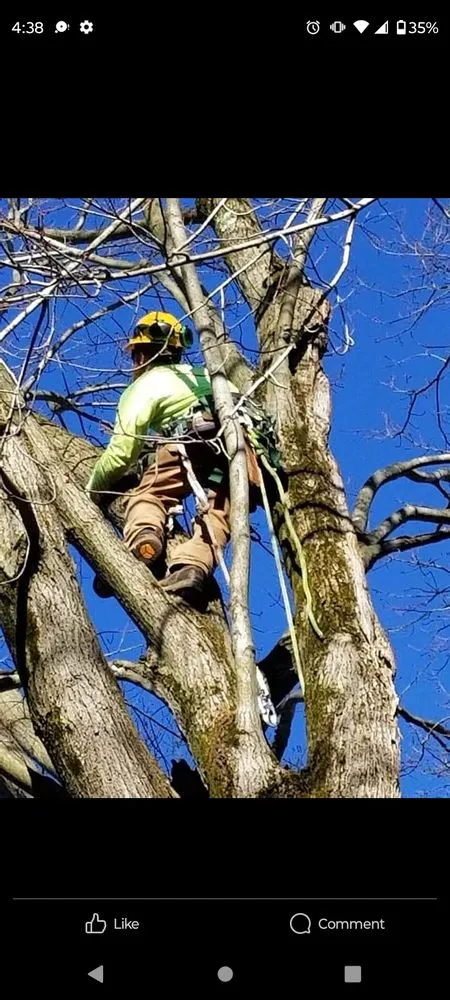 Professional residential landscaping for homes in Massillon, OH by Lennox Tree and Landscaping