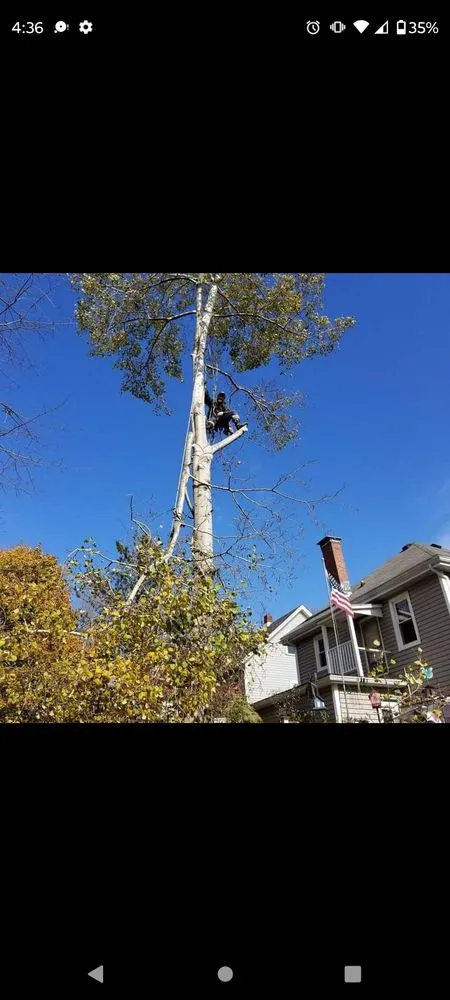 Affordable landscape design in Massillon, OH - Lennox Tree and Landscaping