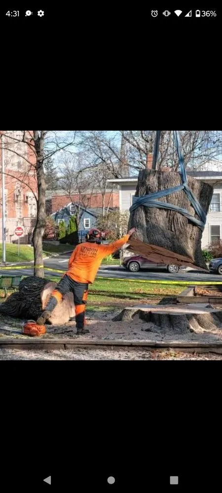 Professional landscaping services for homes in Massillon, OH by Lennox Tree and Landscaping