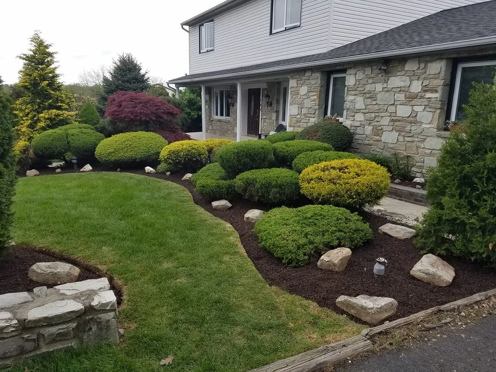 Expert yard cleanup service in Feasterville-Trevose, PA - Lenny Company´s