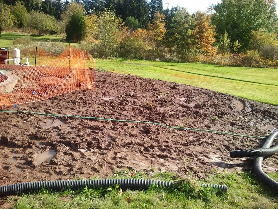 Expert yard cleanup service in Feasterville-Trevose, PA - Lenny Company´s