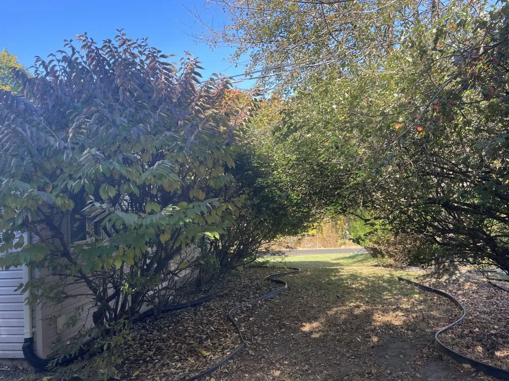 Affordable landscape design in Randolph, NJ by Lenny’s Garden & Tree Services