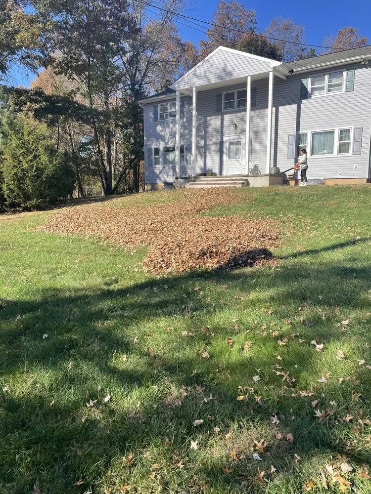 Reliable lawn mowing service for beautiful yards in Randolph, NJ by Lenny’s Garden & Tree Services