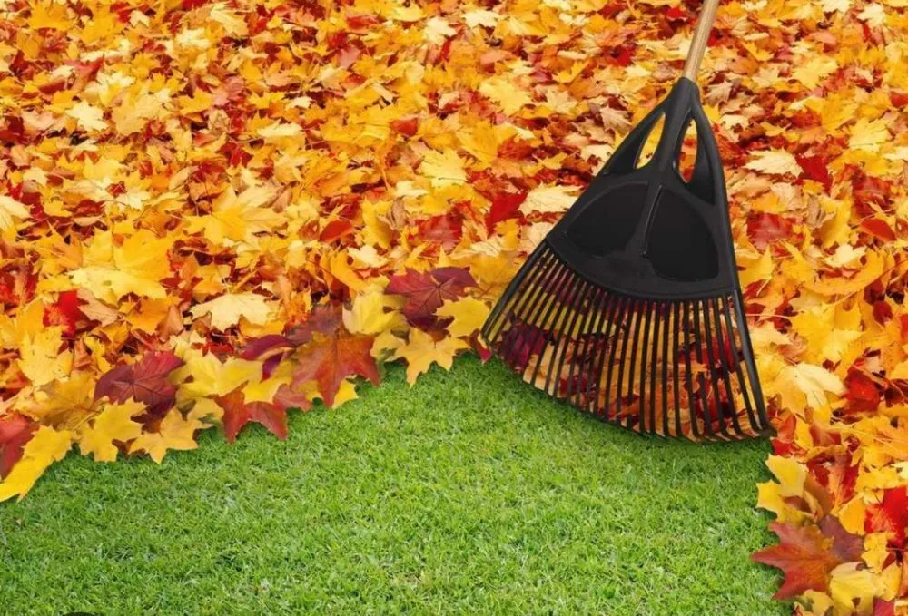 Expert lawn care service for year-round maintenance in Randolph, NJ by Lenny’s Garden & Tree Services