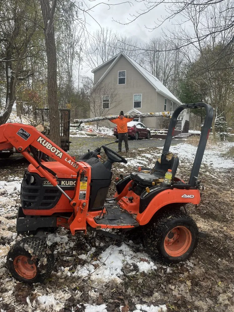 Expert yard cleanup service in Macedon, NY - Lenny's Tree
