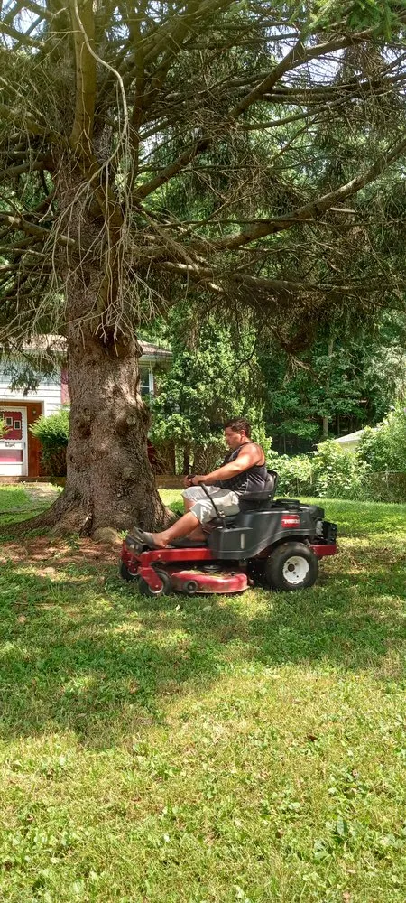 Local landscape installation in Macedon, NY - Lenny's Tree