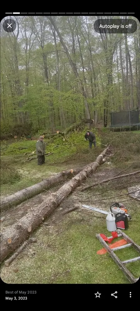 Trusted landscaping services in Macedon, NY by Lenny's Tree