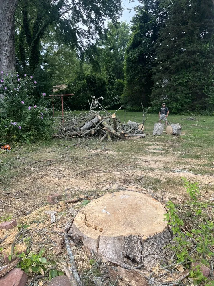 Top-rated yard cleanup service near you across Macedon, NY - Lenny's Tree