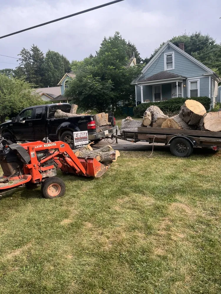 Expert yard cleanup service for residential properties in Macedon, NY by Lenny's Tree