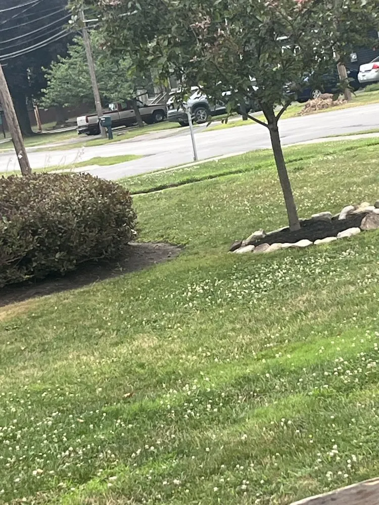 Local garden landscaping experts serving Macedon, NY - Lenny's Tree