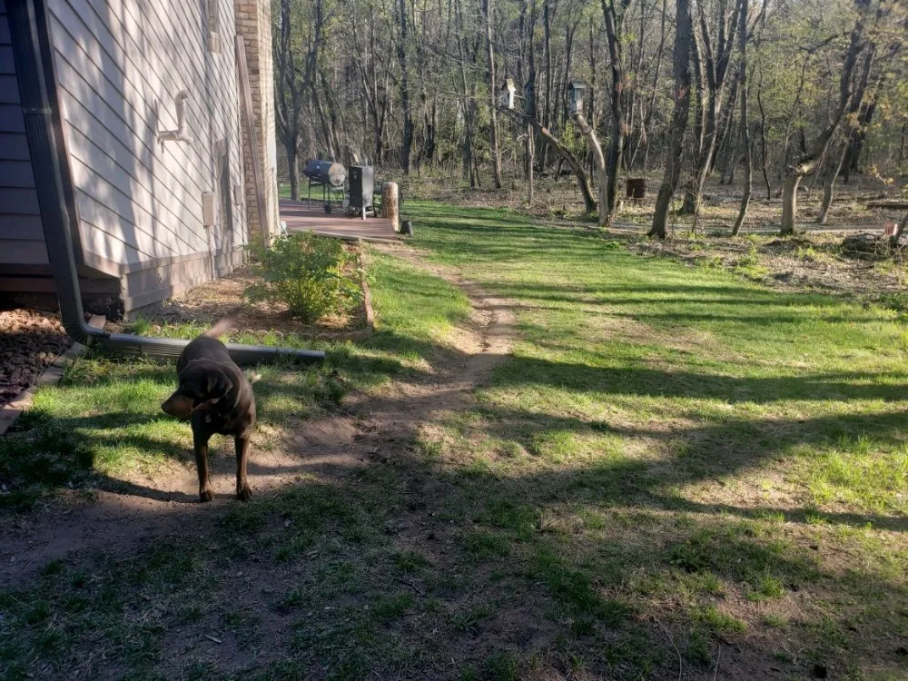 Top-rated residential landscaping in North Branch, MN - Lenora Companies