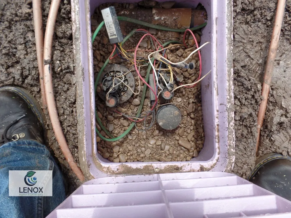 Expert yard cleanup service for residential properties in Round Rock, TX by Lenox Landscaping & Irrigation