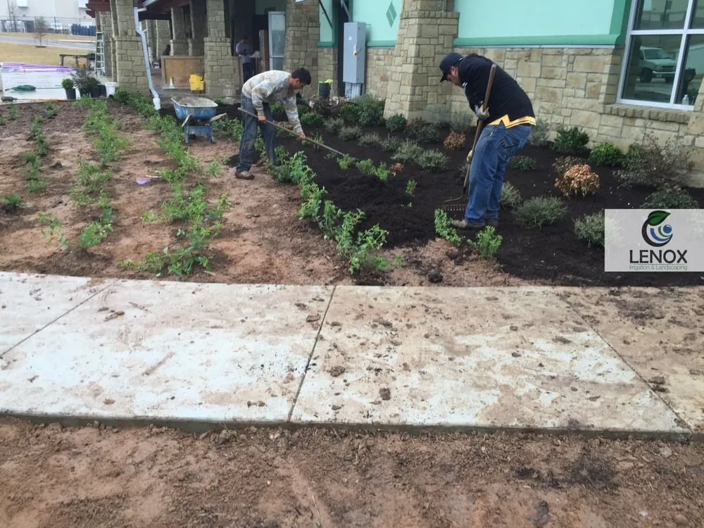 Expert landscaping services in Round Rock, TX by Lenox Landscaping & Irrigation