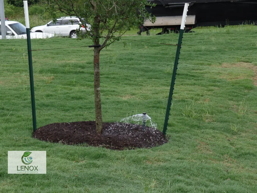 Professional lawn mowing service for beautiful yards in Round Rock, TX by Lenox Landscaping & Irrigation