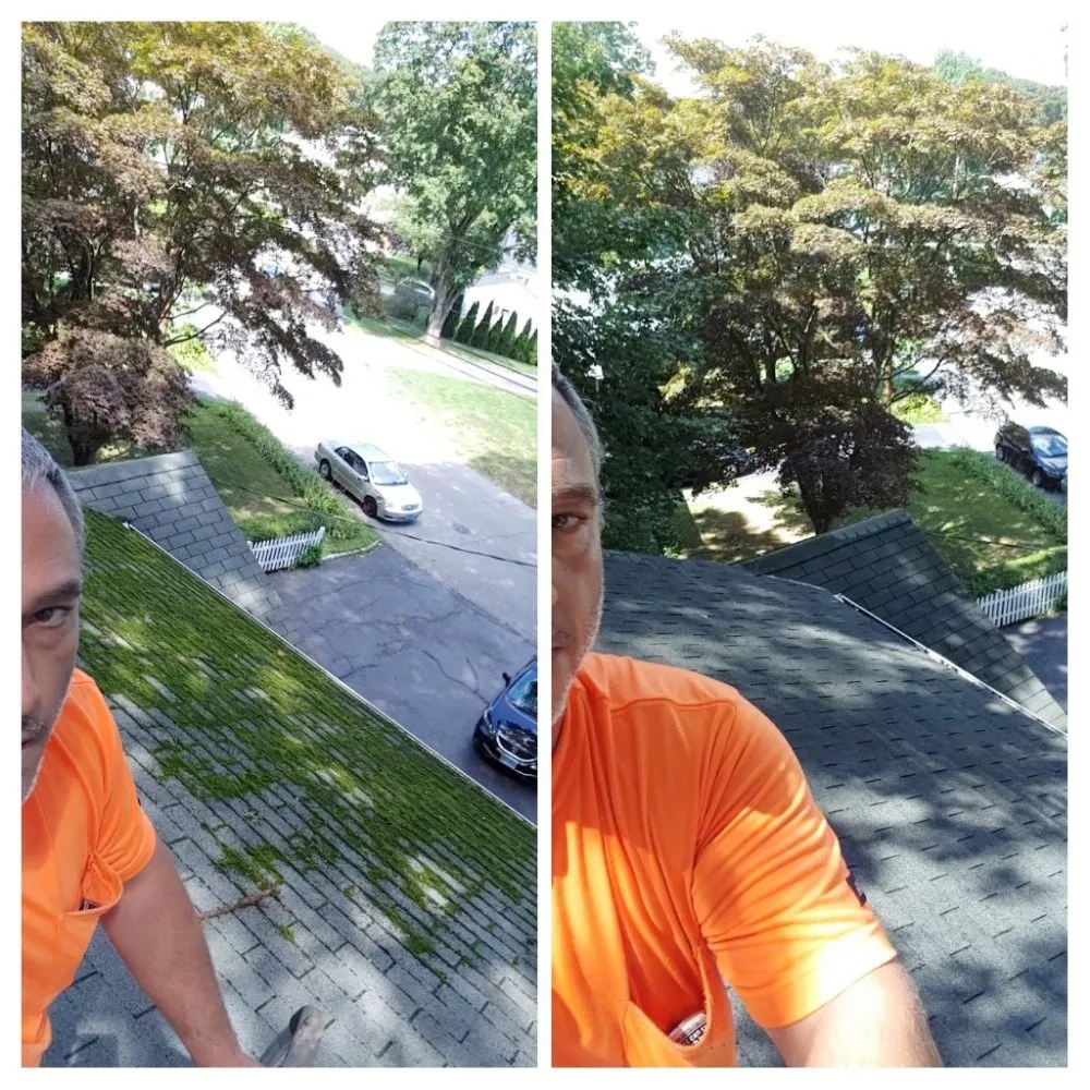 Custom lawn care service experts serving Norwalk, CT - Lenox Powerwashing and Landscaping