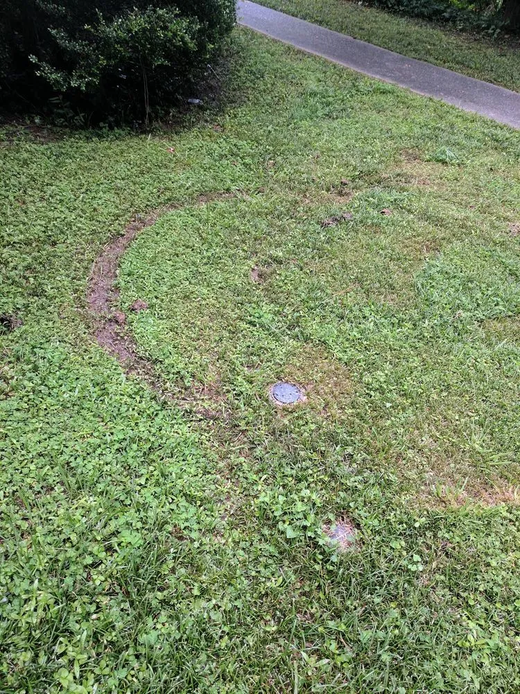 Expert lawn mowing service experts serving Tucker, GA - Len's Lawns