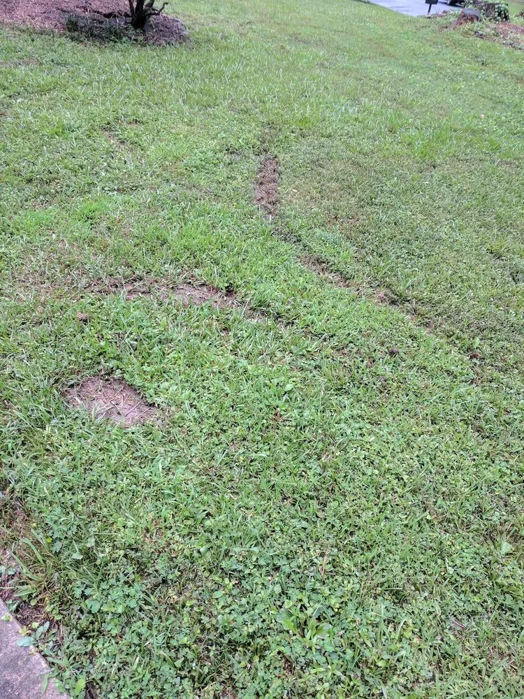 Local outdoor landscaping near you in Tucker, GA by Len's Lawns