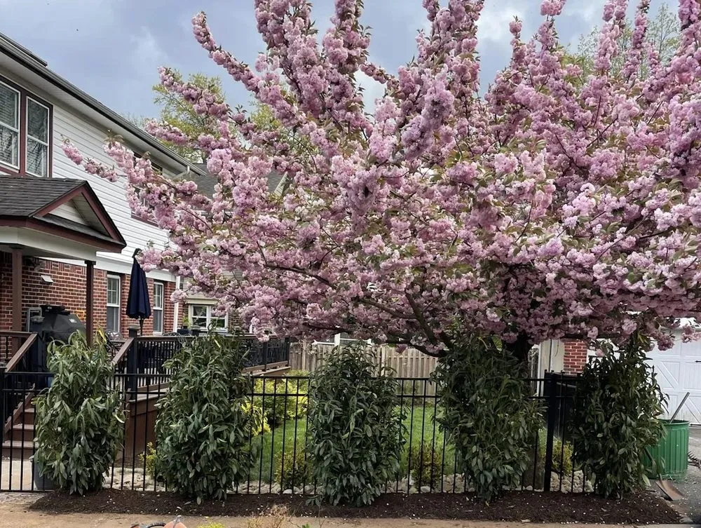 Affordable landscape installation for beautiful yards across Caldwell, NJ - Lentini Landscaping