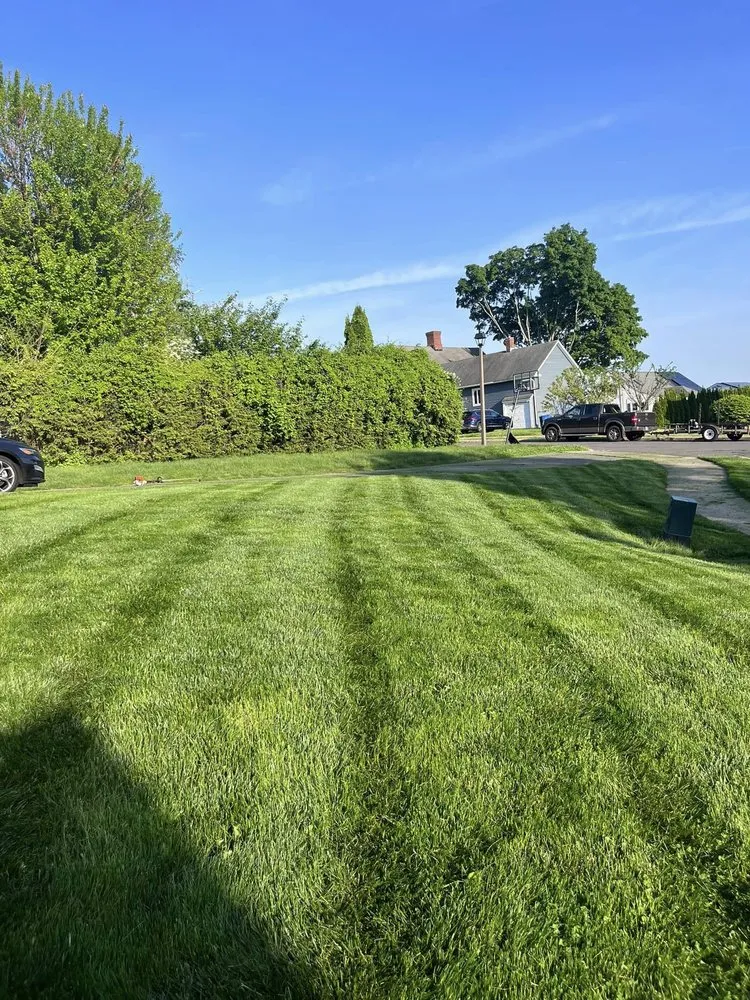 Top-rated yard cleanup service near you across New Britain, CT - Lentini Landscaping