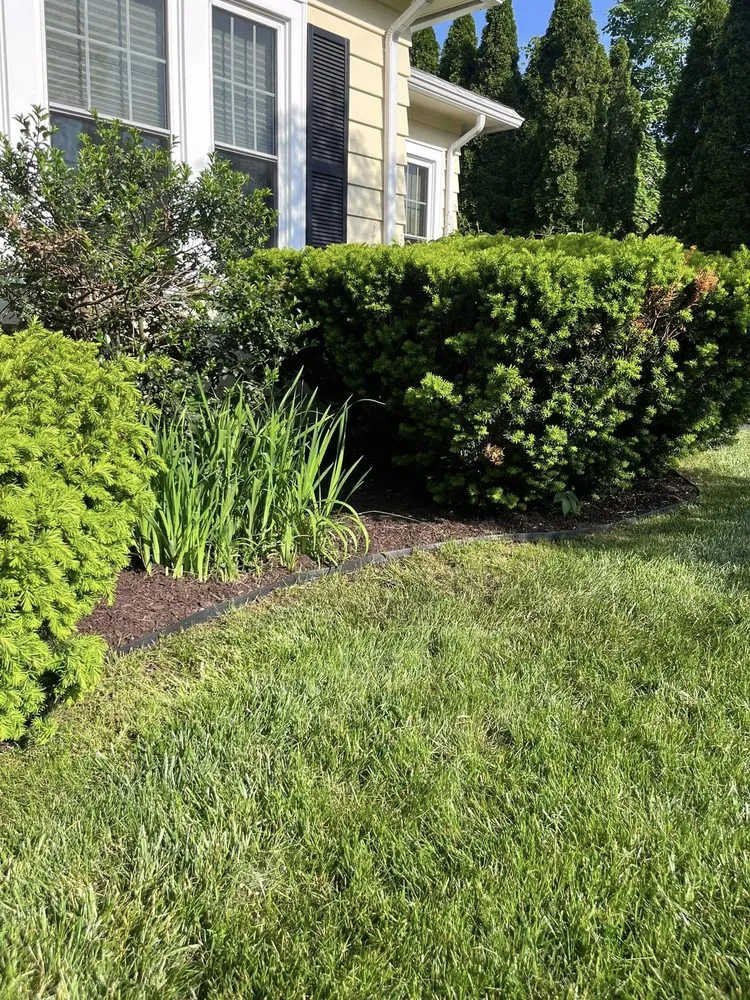 Expert yard maintenance in New Britain, CT by Lentini Landscaping